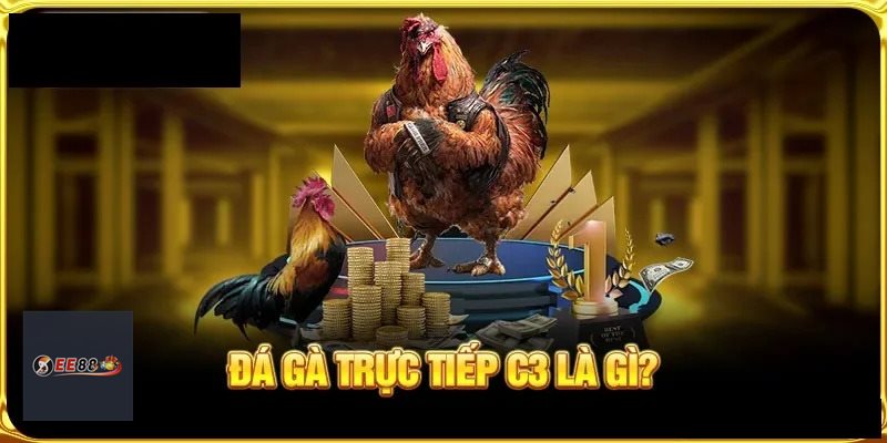 Luật Đá Gà - Luật chơi là nền tảng của một trận đấu công bằng